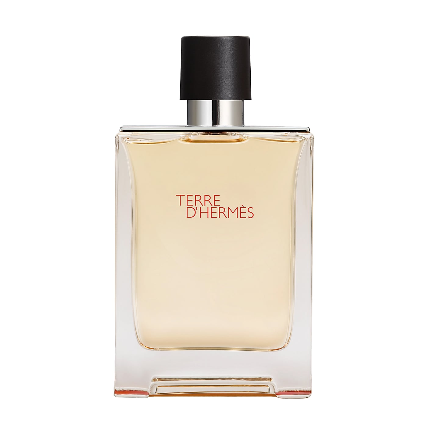 Hermes Terre D'Hermes Туалетна вода чоловіча, 100 мл
